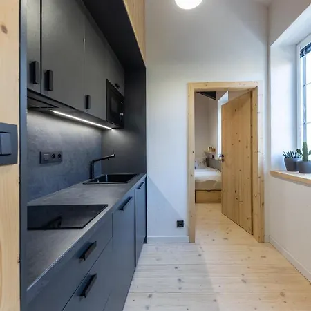 Vlasta Apt. #401 Apartman *