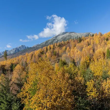 Vlasta Apt. #401 Vysoke Tatry