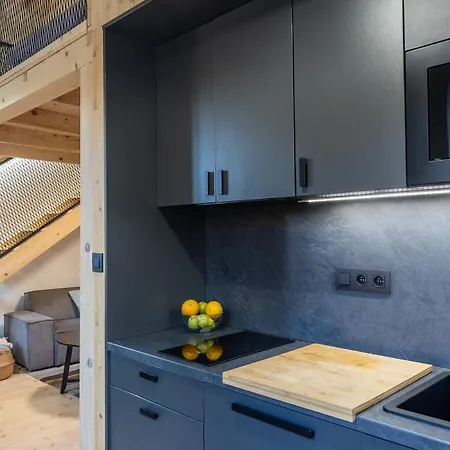 Vlasta Apt. #401 Apartment